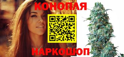 твердый Сланцы