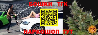 твердый Сланцы
