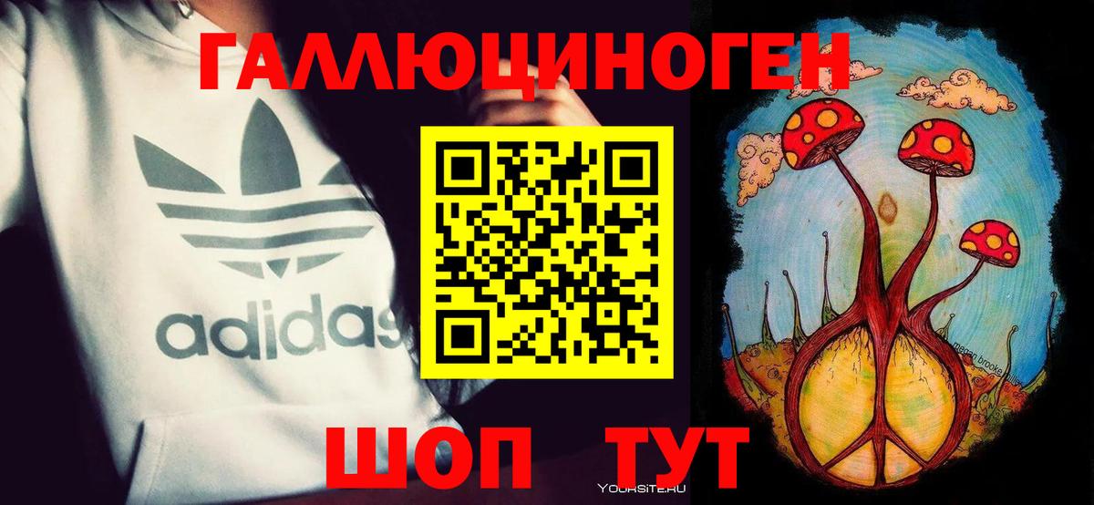 Галлюциногенные грибы Psilocybe Саянск